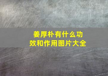 姜厚朴有什么功效和作用图片大全