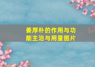 姜厚朴的作用与功能主治与用量图片