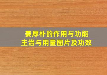 姜厚朴的作用与功能主治与用量图片及功效