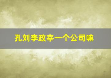 孔刘李政宰一个公司嘛