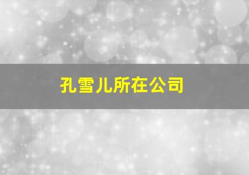 孔雪儿所在公司