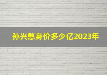 孙兴慜身价多少亿2023年