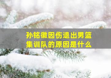 孙铭徽因伤退出男篮集训队的原因是什么