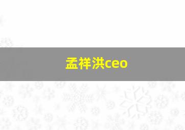 孟祥洪ceo