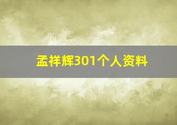 孟祥辉301个人资料