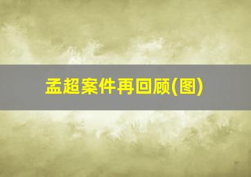 孟超案件再回顾(图)