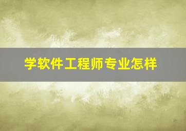 学软件工程师专业怎样