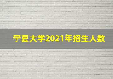 宁夏大学2021年招生人数