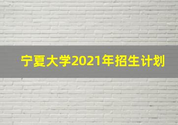 宁夏大学2021年招生计划