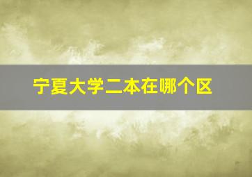 宁夏大学二本在哪个区