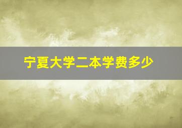 宁夏大学二本学费多少