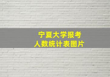 宁夏大学报考人数统计表图片