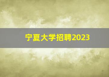 宁夏大学招聘2023