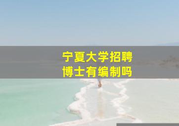 宁夏大学招聘博士有编制吗