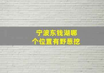 宁波东钱湖哪个位置有野葱挖