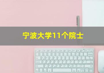 宁波大学11个院士