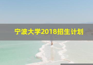 宁波大学2018招生计划