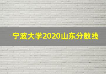 宁波大学2020山东分数线