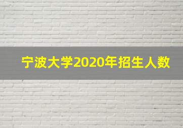 宁波大学2020年招生人数