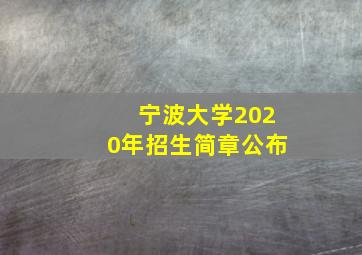 宁波大学2020年招生简章公布