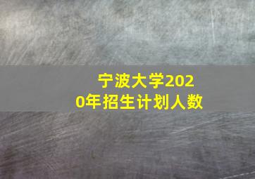 宁波大学2020年招生计划人数