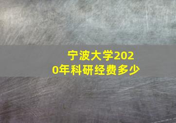 宁波大学2020年科研经费多少