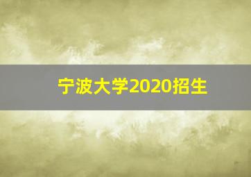 宁波大学2020招生