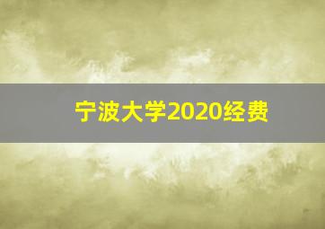 宁波大学2020经费