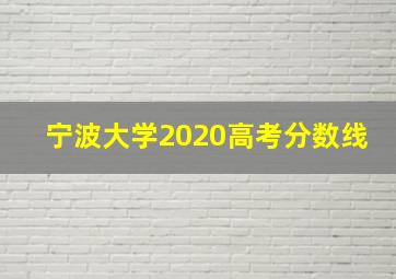 宁波大学2020高考分数线