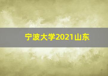 宁波大学2021山东