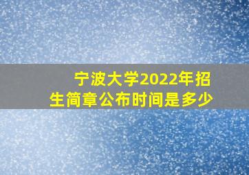 宁波大学2022年招生简章公布时间是多少