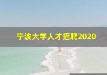 宁波大学人才招聘2020