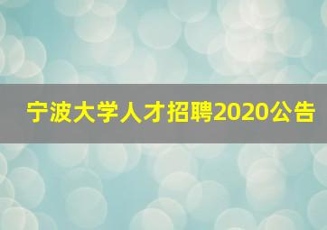 宁波大学人才招聘2020公告