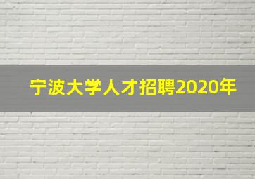 宁波大学人才招聘2020年