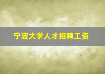 宁波大学人才招聘工资