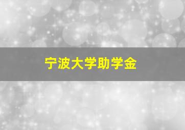 宁波大学助学金