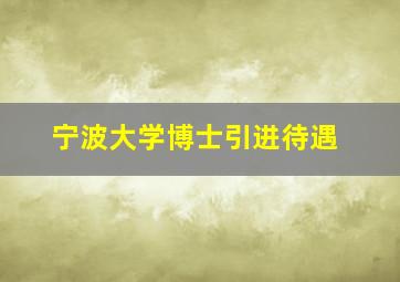 宁波大学博士引进待遇