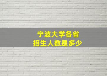 宁波大学各省招生人数是多少