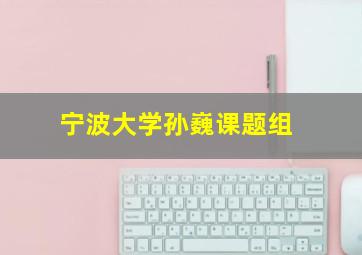 宁波大学孙巍课题组