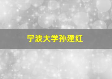 宁波大学孙建红