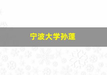 宁波大学孙蓬