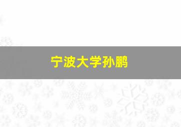 宁波大学孙鹏