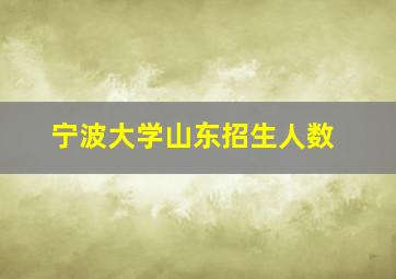 宁波大学山东招生人数