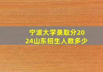 宁波大学录取分2024山东招生人数多少