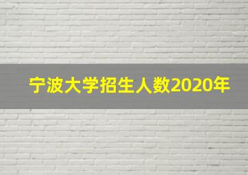 宁波大学招生人数2020年