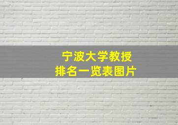 宁波大学教授排名一览表图片