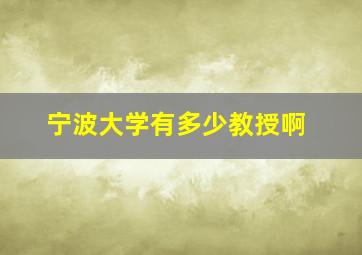 宁波大学有多少教授啊