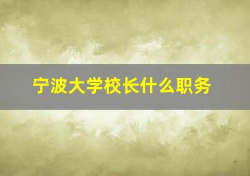 宁波大学校长什么职务