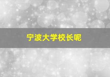 宁波大学校长呢