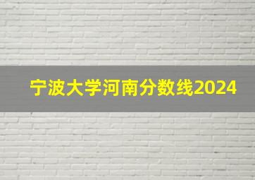 宁波大学河南分数线2024